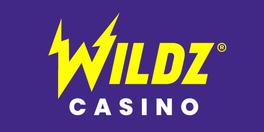 Wildz Casino Logo 200x100